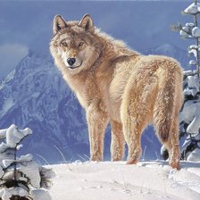 Схема вышивки «№1657117»