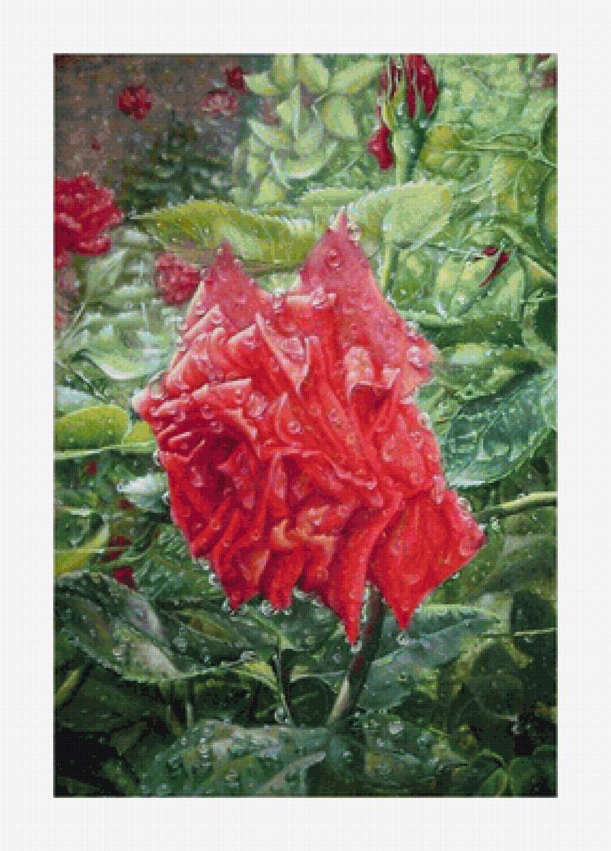 №1657353 - предпросмотр