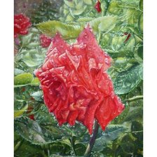 Схема вышивки «№1657353»