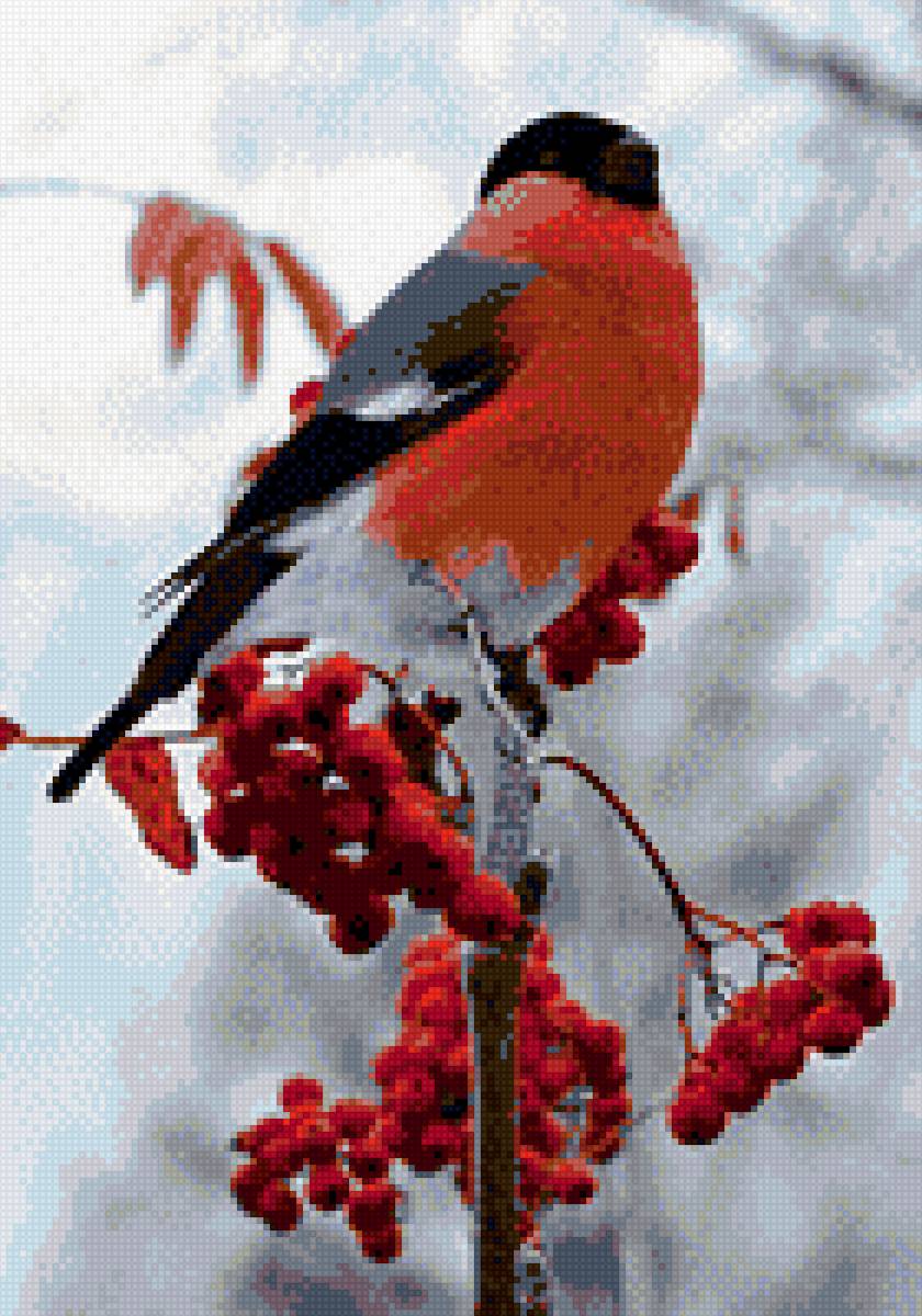 Снегирь - зима - предпросмотр