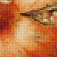 Предпросмотр схемы вышивки «Гранаты и жук» (№1657480)