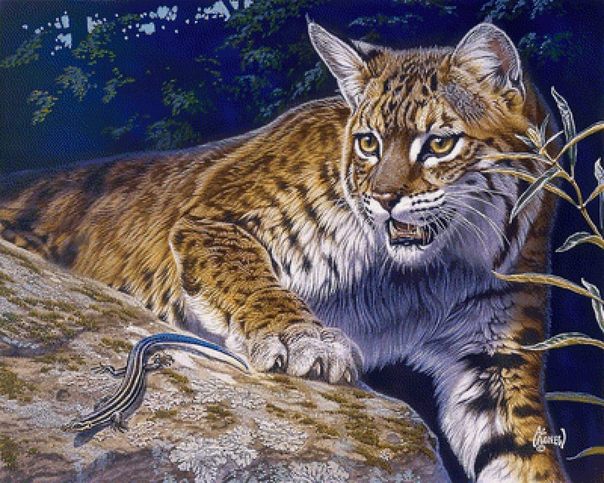 №1657569 - предпросмотр