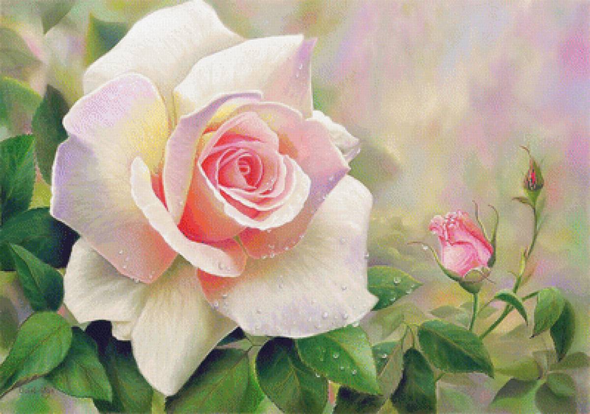 №1657696 - розы - предпросмотр