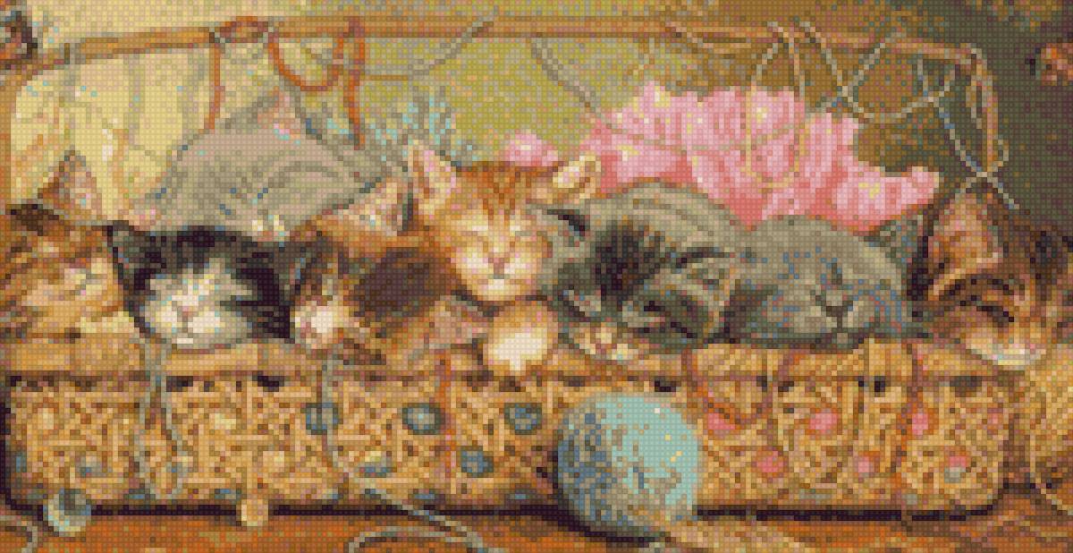 котята - предпросмотр