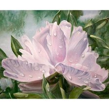 Схема вышивки «№1657821»