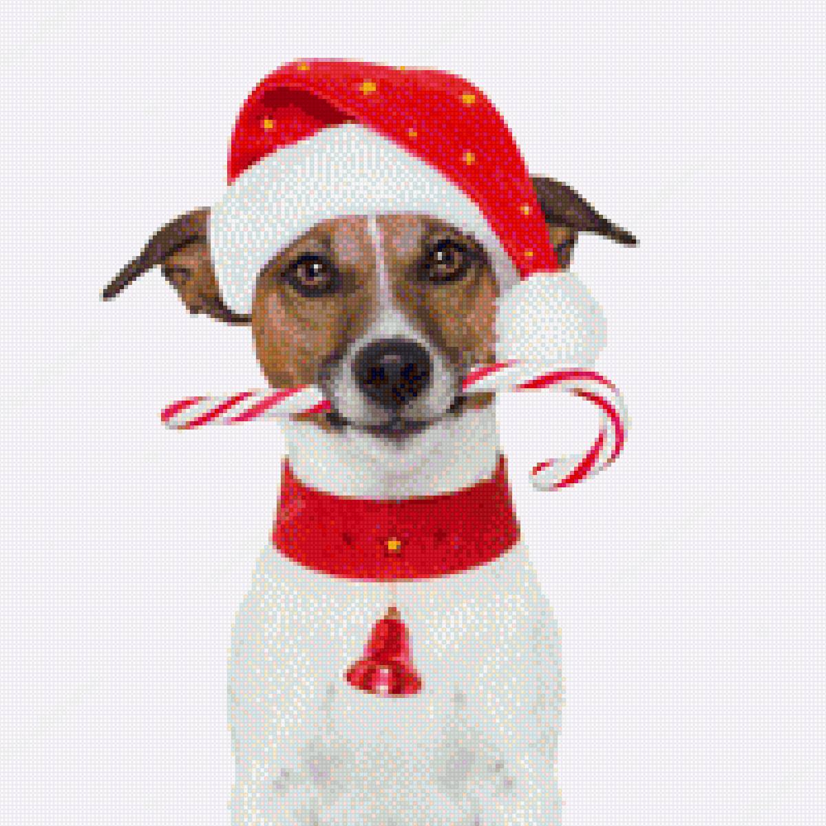 новогодний пёсик - предпросмотр