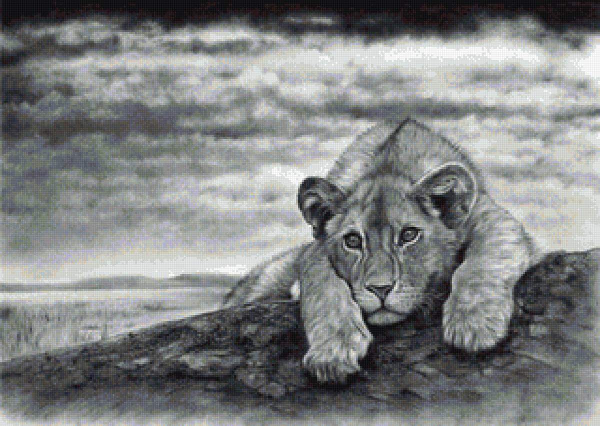 №1657995 - предпросмотр