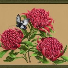 Схема вышивки «№1658092»