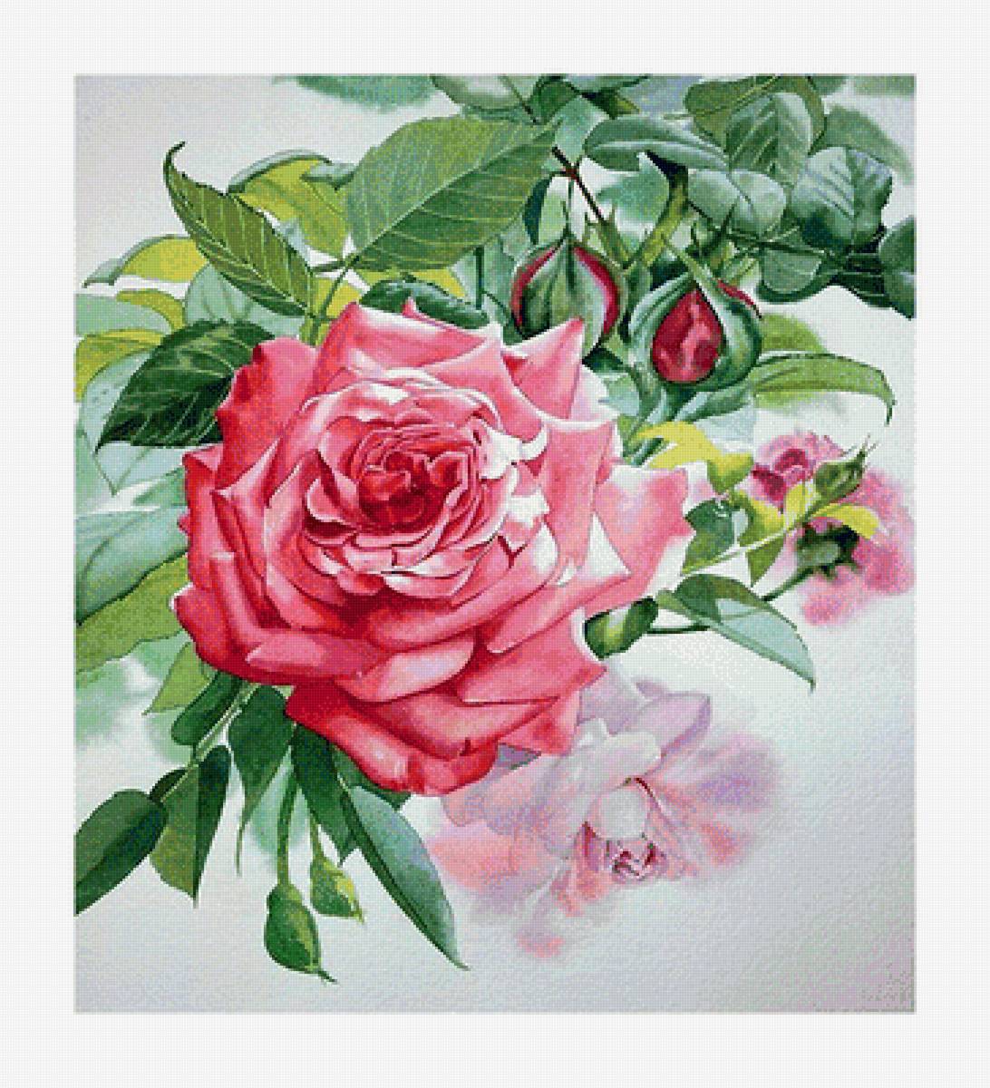 №1658366 - предпросмотр