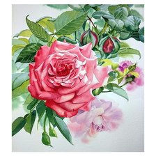 Схема вышивки «№1658366»