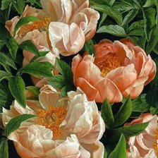 Схема вышивки «№1658387»