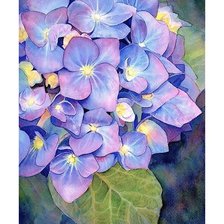 Схема вышивки «№1658398»