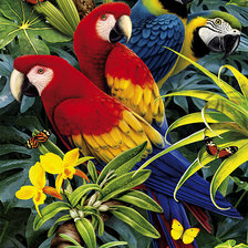 Схема вышивки «vtáci»