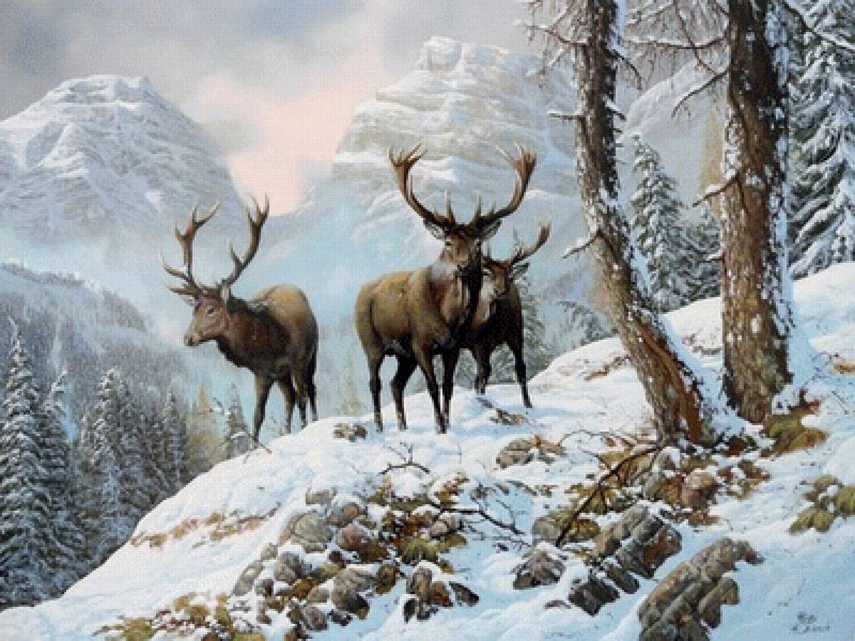 зимой в горах - природа, животные, зима - предпросмотр