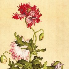 Схема вышивки «№1658675»