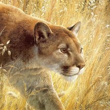 Схема вышивки «№1658687»