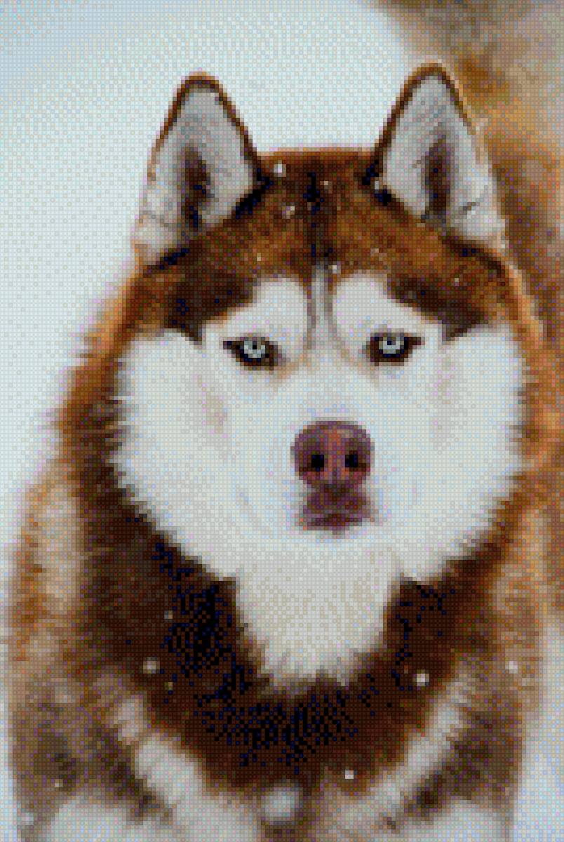 Ездовойспорт_курган - ездовой спорт - предпросмотр