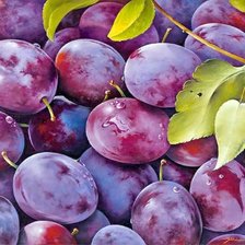 Схема вышивки «№1658980»