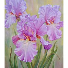 Схема вышивки «№1658990»