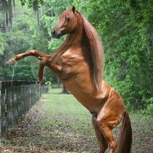 Схема вышивки «животные»