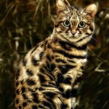 Схема вышивки «179»