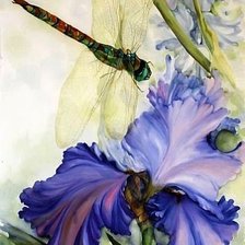 Схема вышивки «Стрекоза»