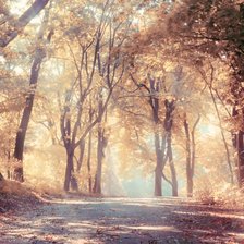 Схема вышивки «пейзаж»