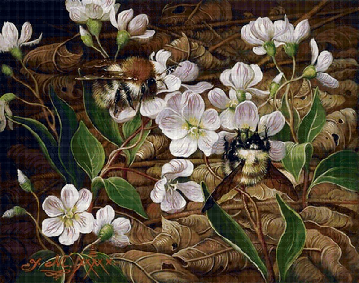 №1659926 - предпросмотр