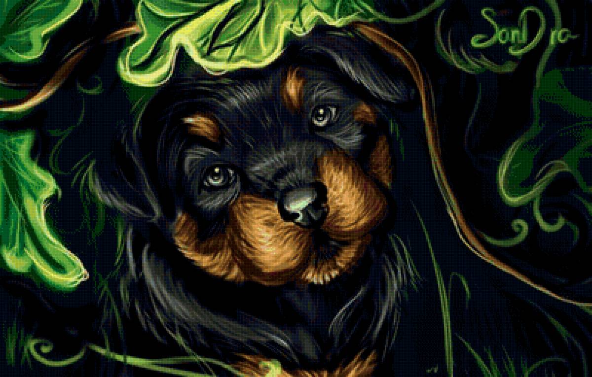 №1659937 - предпросмотр