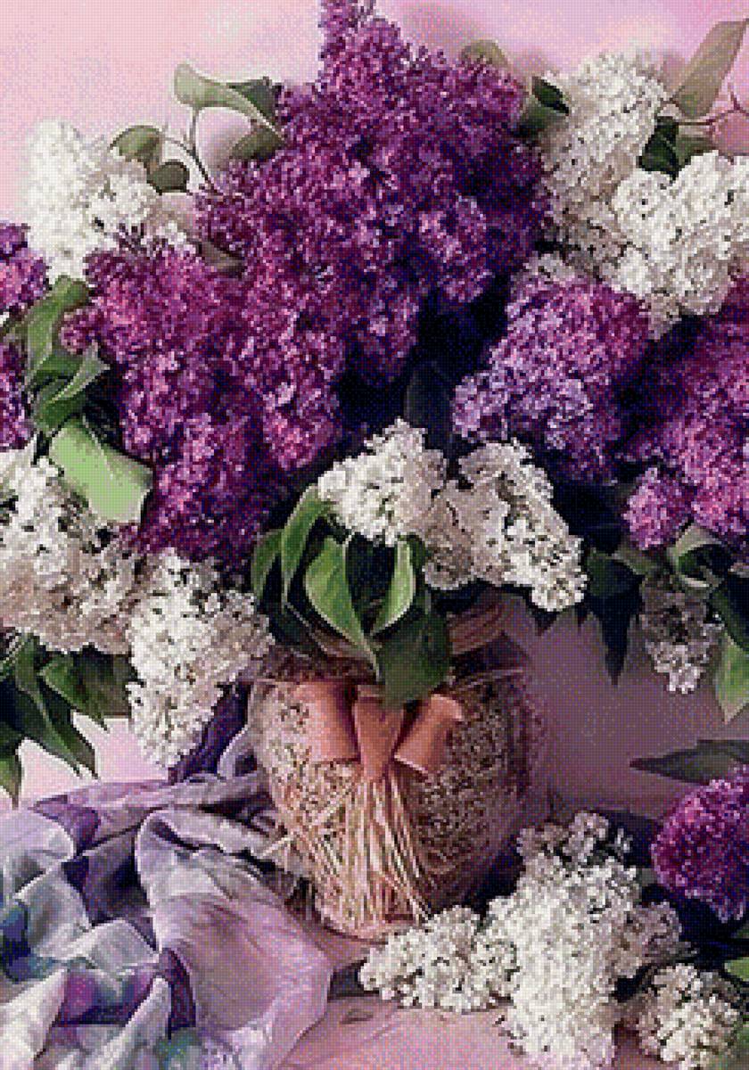 181 - предпросмотр