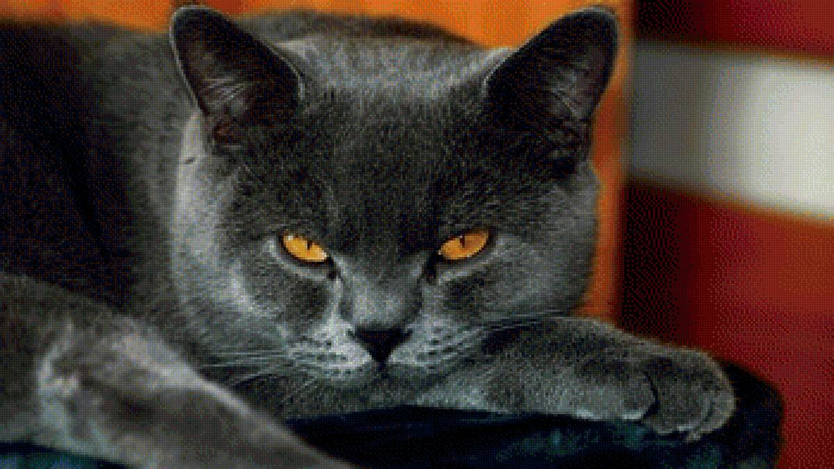 182 - предпросмотр