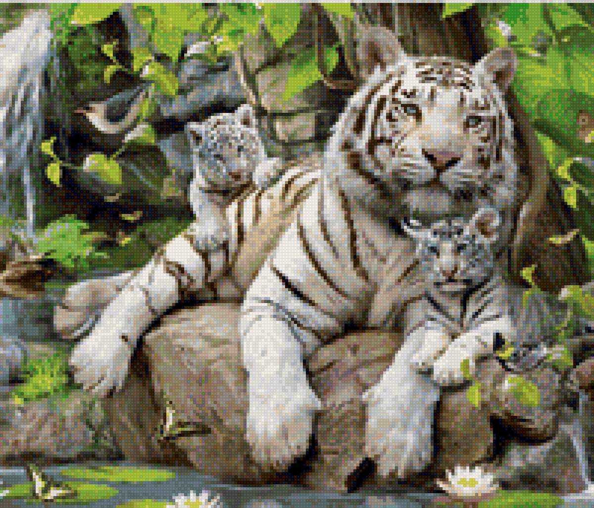 белый тигр - животные - предпросмотр