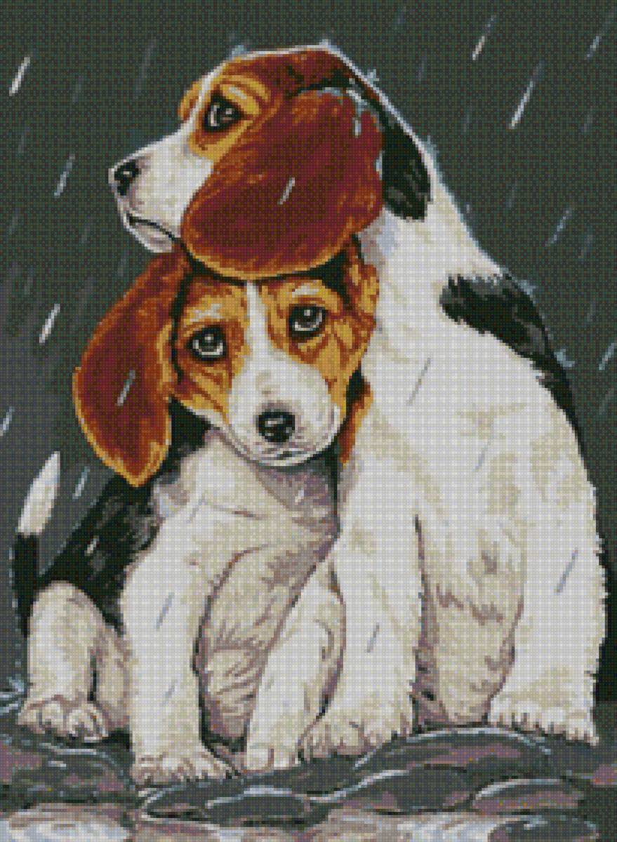 эстоночки - собаки - предпросмотр