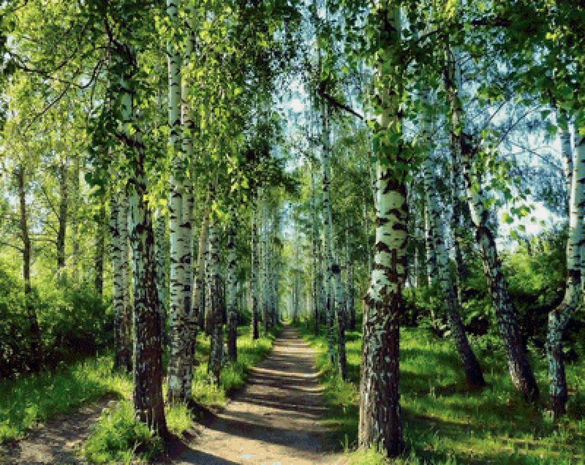 193 - предпросмотр