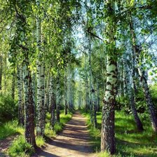 Схема вышивки «193»