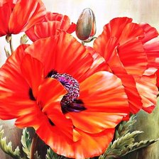 Схема вышивки «Маки»