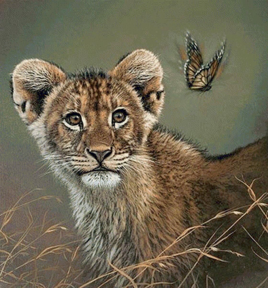 №1662323 - предпросмотр