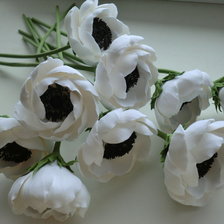 Схема вышивки «Белые анемоны»