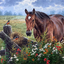 Схема вышивки «на лугу»