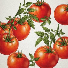 Схема вышивки «Томаты»