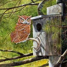 Схема вышивки «сова»