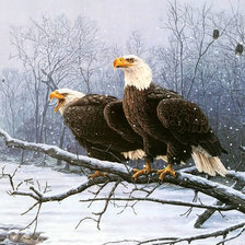 Схема вышивки «хищные птицы»