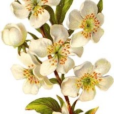 Схема вышивки «№1662825»