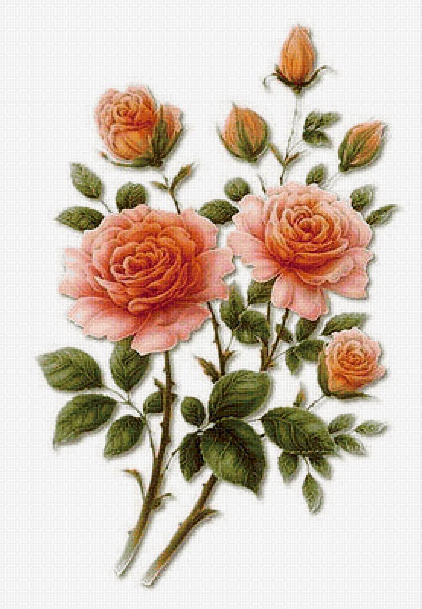 №1662827 - предпросмотр