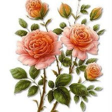 Схема вышивки «№1662827»