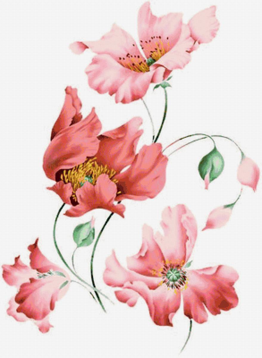 №1662833 - предпросмотр