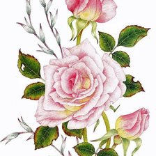 Схема вышивки «№1662834»