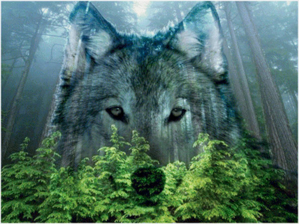 №1662900 - предпросмотр