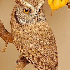 Схема вышивки «СОВА»