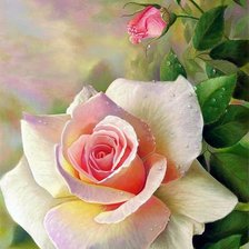 Схема вышивки «№1663012»